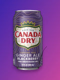 Canada Dry Blackberry Ginger Ale Caffeine Free 355ml Can – Imported Soft Drink