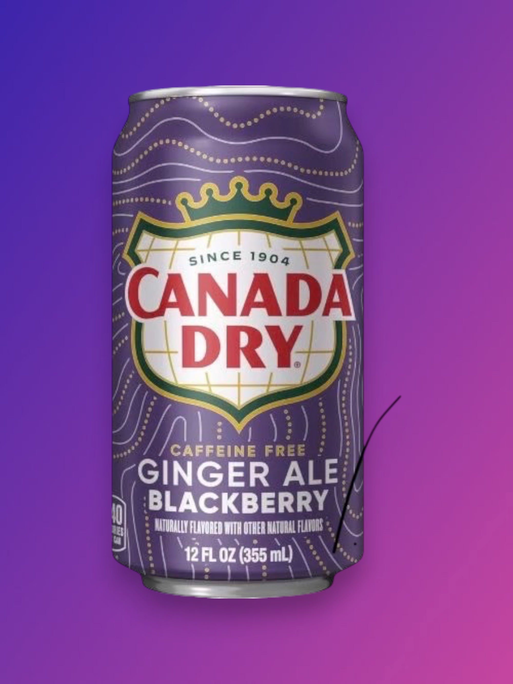 Canada Dry Blackberry Ginger Ale Caffeine Free 355ml Can – Imported Soft Drink