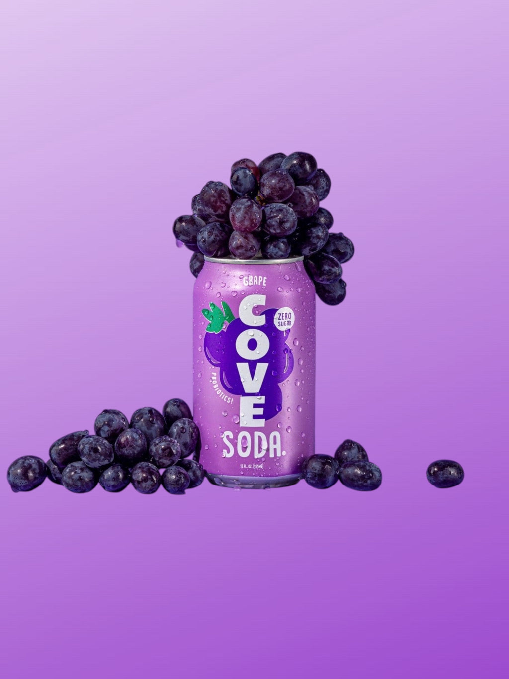 Cove Soda Raisin (Grape) 355ml Can – Refreshing Grape Sparkling Soft Drink